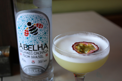 Abelha - Brasilian Lady