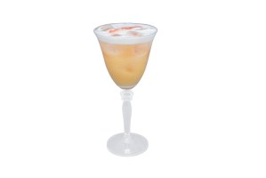 DISARONNO Wears Cavalli Sour