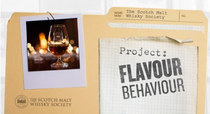FlavourBehaviour_Banner_NOText[1]
