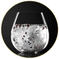 X Gin - The Perfect Serve