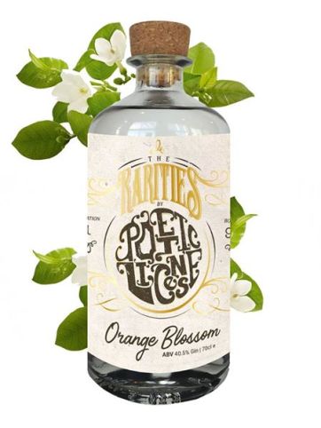 15977466_1645374238811400_5254045136693109941_n