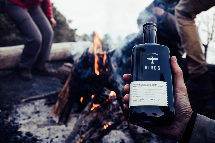 BIRDS-Adventure-Travel-Spirit