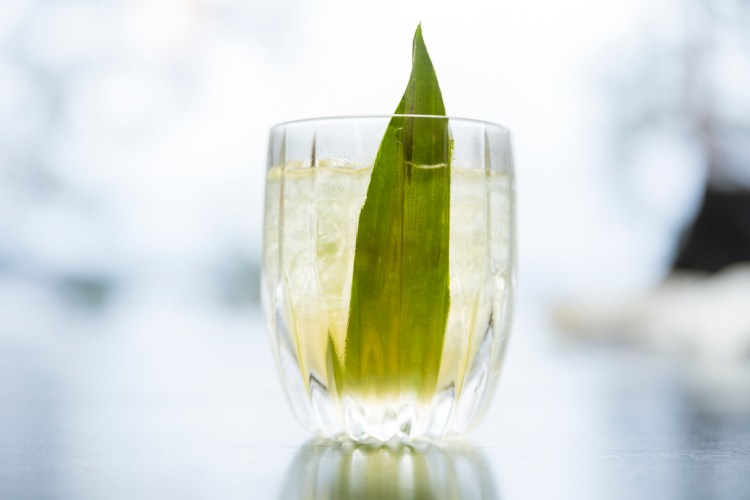 JohnnyVaetNordskog_print_VN_1507